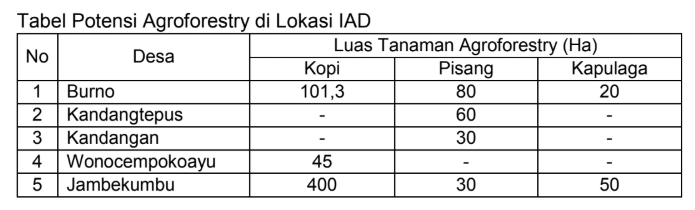 Potensi Agroforestry di Desa Burno